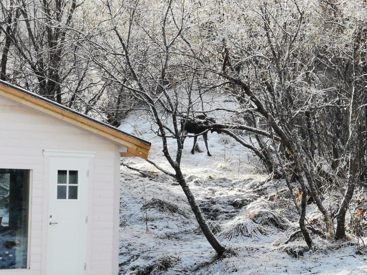 Relaxing Cabin Gravdal (Vestvagoy) Exterior foto